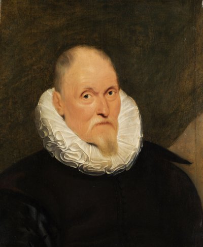 Portrait of a Dutch Gentleman by Cornelis de Vos